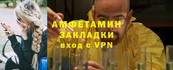 индика Михайловск