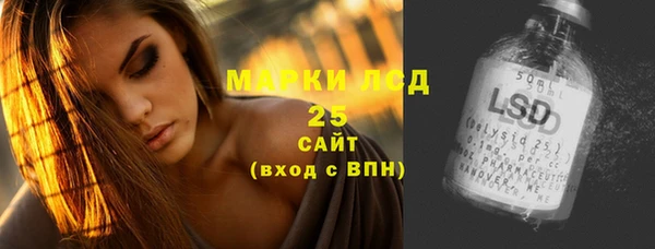 индика Михайловск