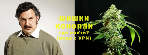 индика Михайловск