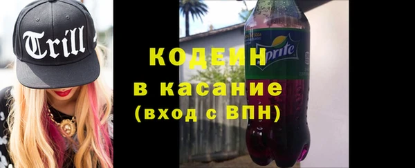 индика Михайловск