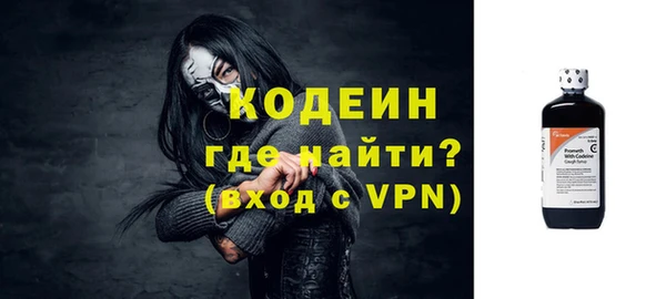 индика Михайловск