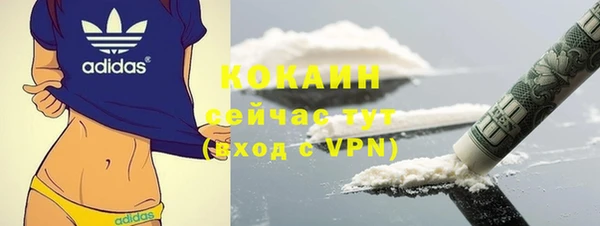 индика Михайловск