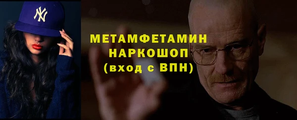 индика Михайловск