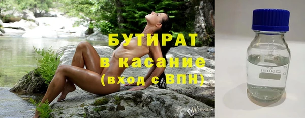 индика Михайловск