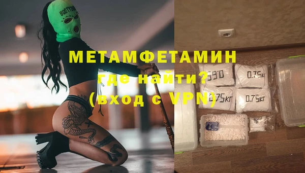индика Михайловск