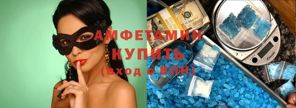 индика Михайловск