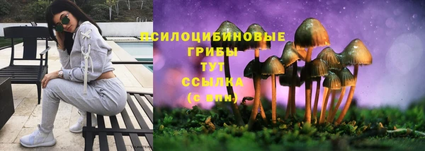 COCAINE Михайловка