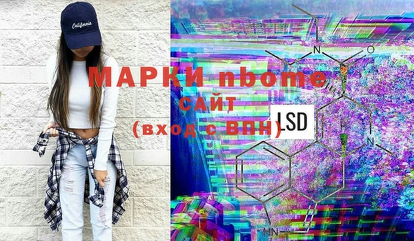 индика Михайловск