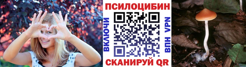 Галлюциногенные грибы мицелий  Купить закладки  Калтан 